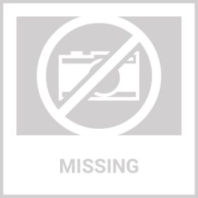 Christmas Pet Dog Cat Collar Adjustable Xmas Design Collars I